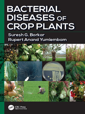cover image of Bacterial Diseases of Crop Plants